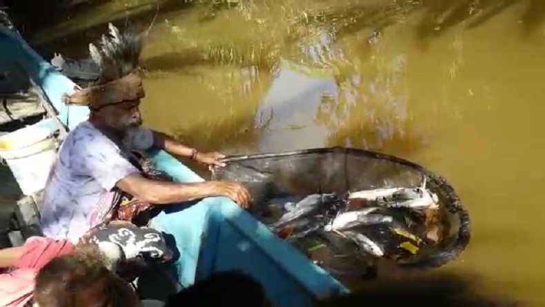 Ratusan Ikan dan Udang Mati Membusuk di Sungai Maralol Papua Barat