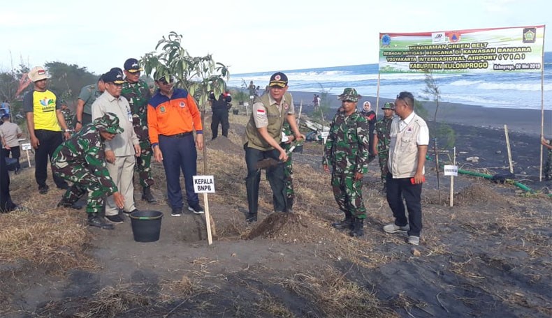 Bandara YIA Terancam Tsunami, BNPB Tanam Ribuan Pohon Cemara dan Pule