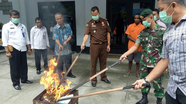 BNN dan Satgas Pamtas Yonif 328 Musnahkan 600 Gram Ganja di Jayapura