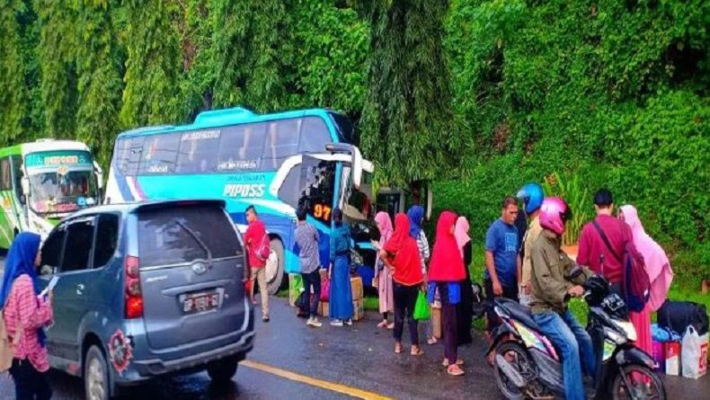 Bus Terperosok di Palopo Tak Bisa Lanjutkan Perjalanan, Pemudik Sempat Terlantar