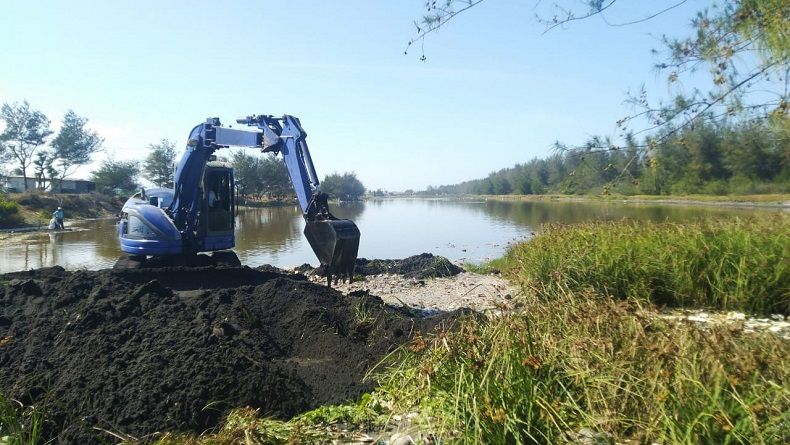 Kematian Ikan di Laguna Pantai Trisik Diklaim akibat Faktor Alam