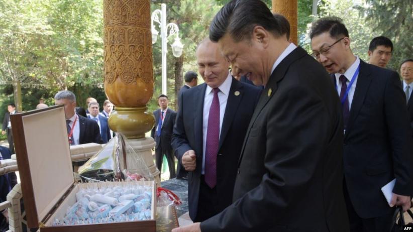 Xi Jinping Batal Makan Malam dengan Vladimir Putin, Kenapa?