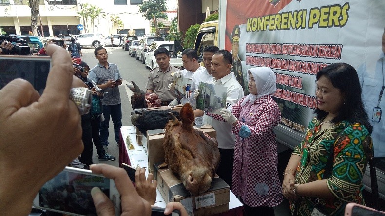 Polda Jatim Amankan Lebih dari 6 Ton Daging Sapi Impor Ilegal dari Australia