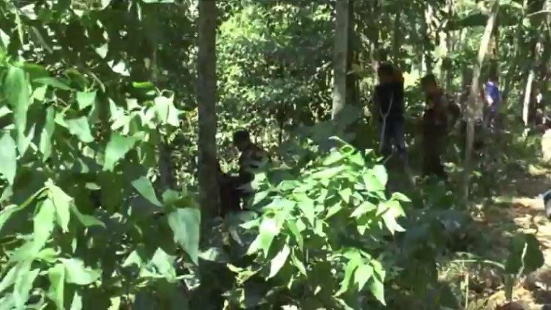 Identitas Potongan Kepala Hangus di Banyumas Masih Misterius, Polisi Sisir Hutan