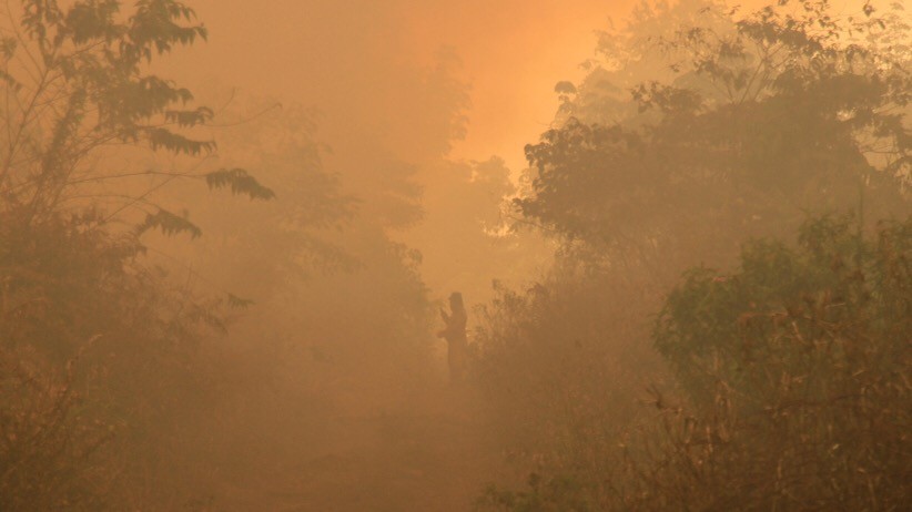 Kebakaran Hutan dan Lahan Gambut di Aceh Barat Meluas - Bagian 2