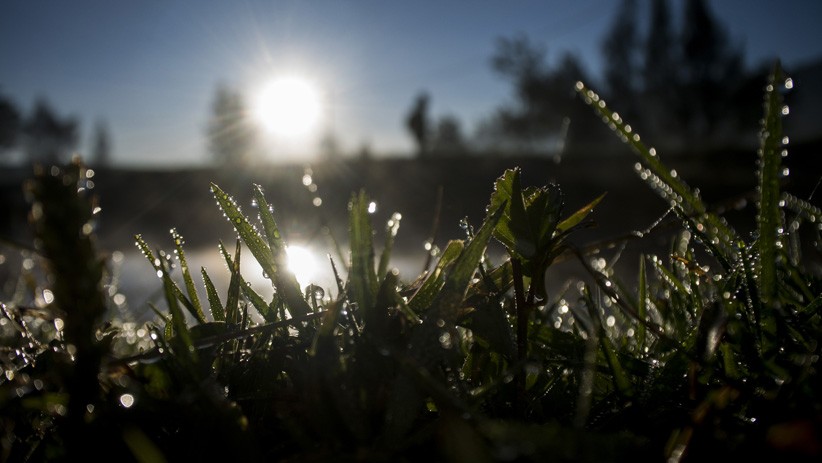 Tak Hanya Dieng, Fenomena Embun Es Juga Terjadi di Bandung - Bagian 3