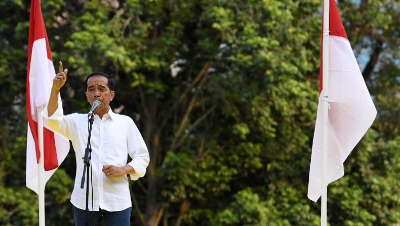 Presiden Jokowi Kunjungi 3 Kabupaten di Sekitar Danau Toba Sumut, Ini Agendanya