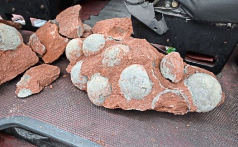 Asyik Main Lumpur, Bocah 9 Tahun Temukan Telur Dinosaurus Berusia 66 Juta Tahun