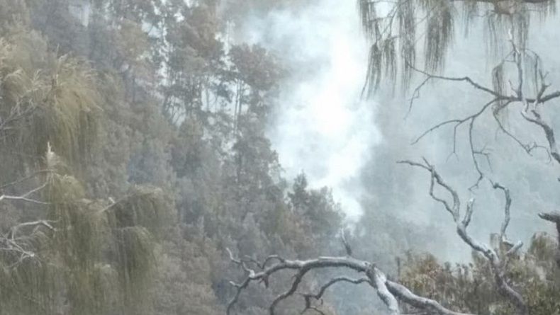 BPBD: Tidak Ada Korban Jiwa dalam Kebakaran Hutan Gunung Arjuno