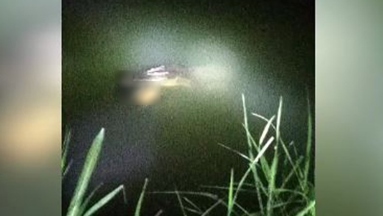 Warga Buton Dimangsa Buaya di Sungai Umalaoge, Jenazahnya Hilang dalam Pencarian