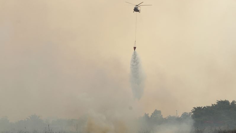 Kebakaran Hutan dan Lahan di Kalteng, BNPB: Helikopter Lepaskan 4.000 Bom Air