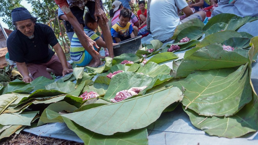 Warga Jateng Gunakan Daun Jati Gantikan Plastik untuk Bungkus Daging Kurban