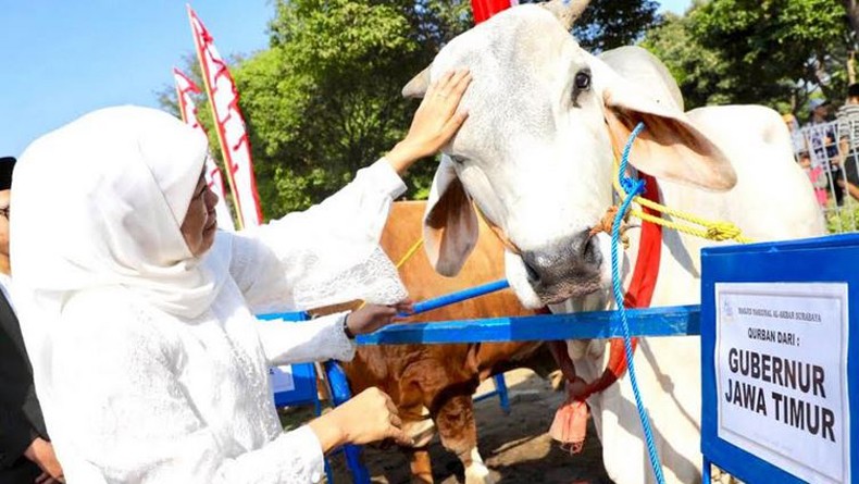 Perayaan Idul Adha 1440 Hijriah, Gubernur Khofifah Ajak Masyarakat Peduli Sesama