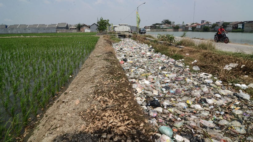 Foto-Foto Kali di Bekasi Tertutup Sampah - Bagian 1