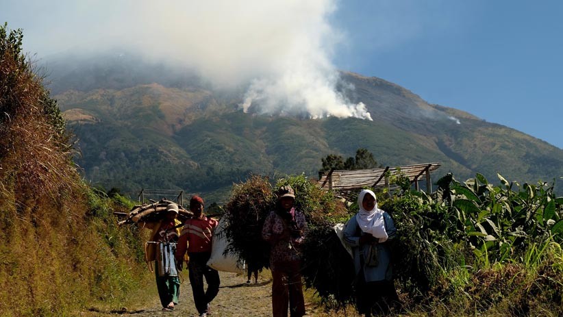 Puluhan Hektare Lahan Hutan Gunung Sumbing Hangus Terbakar