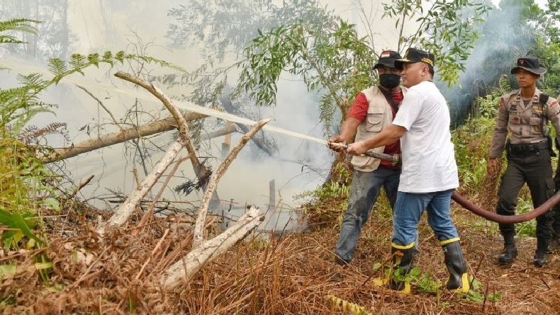 Gubernur Kalteng: Kasus Karhutla Dilakukan Sengaja dan Terorganisasi