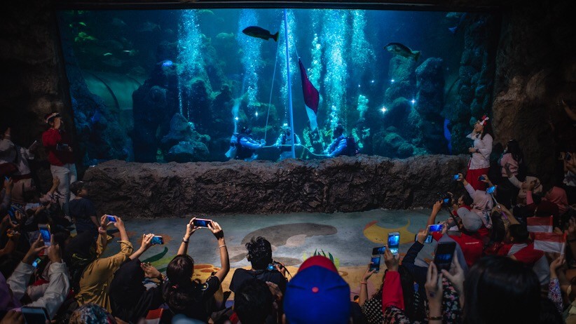 Penyelam Gelar Upacara HUT RI di Kolam Raksasa Sea World Ancol - Bagian 3