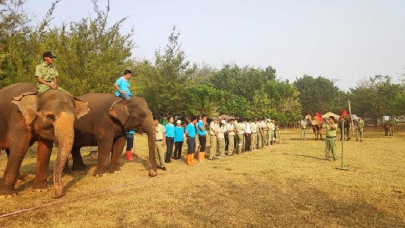 Puluhan Satwa Taman Safari Batang Dilibatkan dalam Upacara HUT Kemerdekaan RI