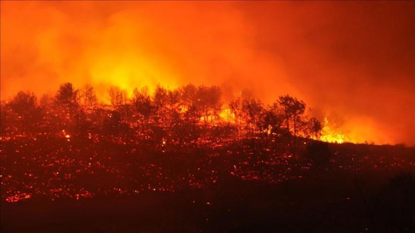 Kebakaran Hutan Landa 4 Wilayah Turki, 23 Helikopter dan ...