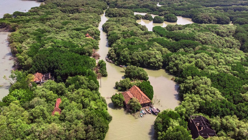 Melihat Dusun yang Tenggelam sejak Tahun 2006 karena Abrasi