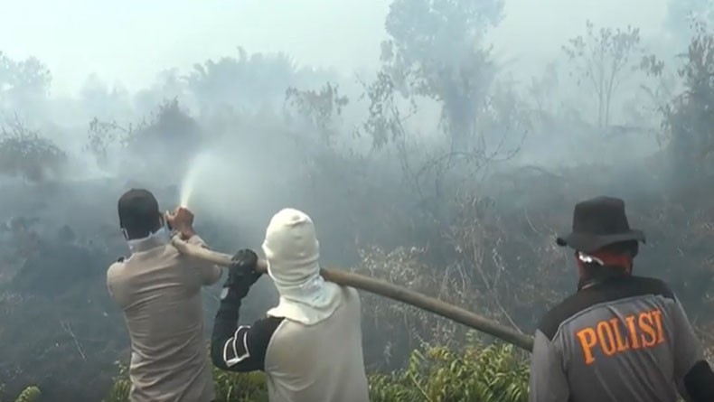 Polisi Tangkap 40 Tersangka Kasus Pembakaran Lahan di Kalimantan Barat