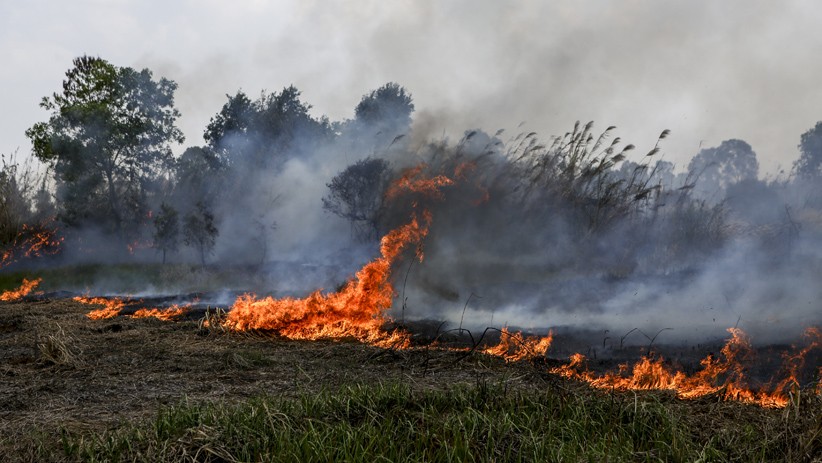 Pantauan Satelit LAPAN, Jumlah Titik Api di Wilayah Indonesia Bertambah - Bagian 1