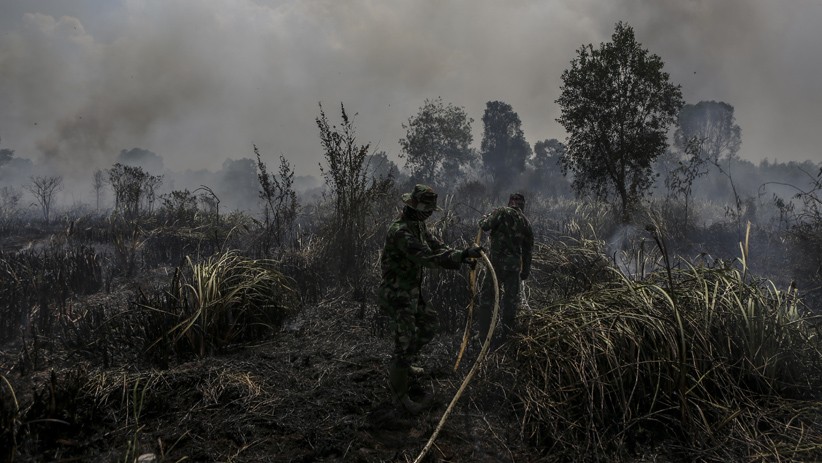 Pantauan Satelit LAPAN, Jumlah Titik Api di Wilayah Indonesia Bertambah - Bagian 2