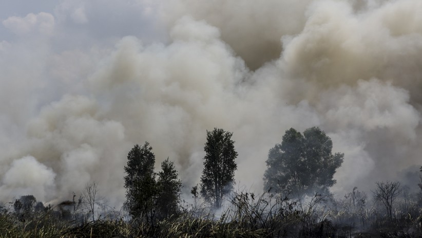 Pantauan Satelit LAPAN, Jumlah Titik Api di Wilayah Indonesia Bertambah - Bagian 3