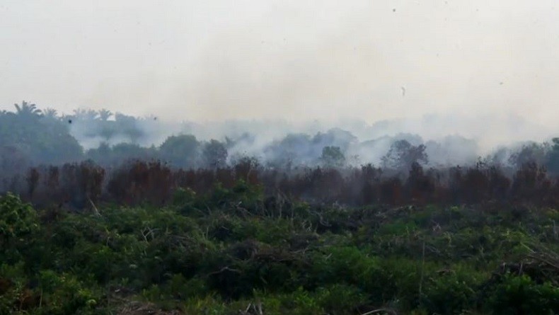 BMKG Deteksi 584 Titik Panas Indikasi Karhutla Kepung Sumatera Sabtu Pagi Ini