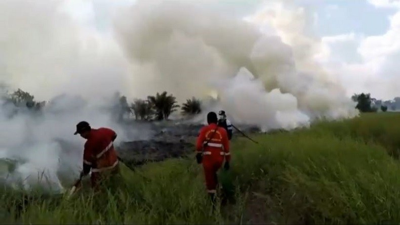 Karhutla di Riau Meluas, 4 Helikopter Dikerahkan untuk Pemadaman di 3 Kabupaten