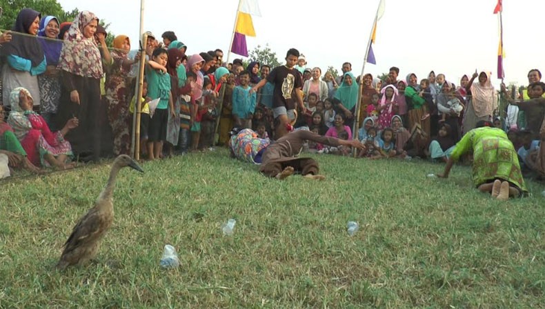 Keseruan Lomba Menangkap Bebek dengan Mata Tertutup Peringati HUT RI di Kendal
