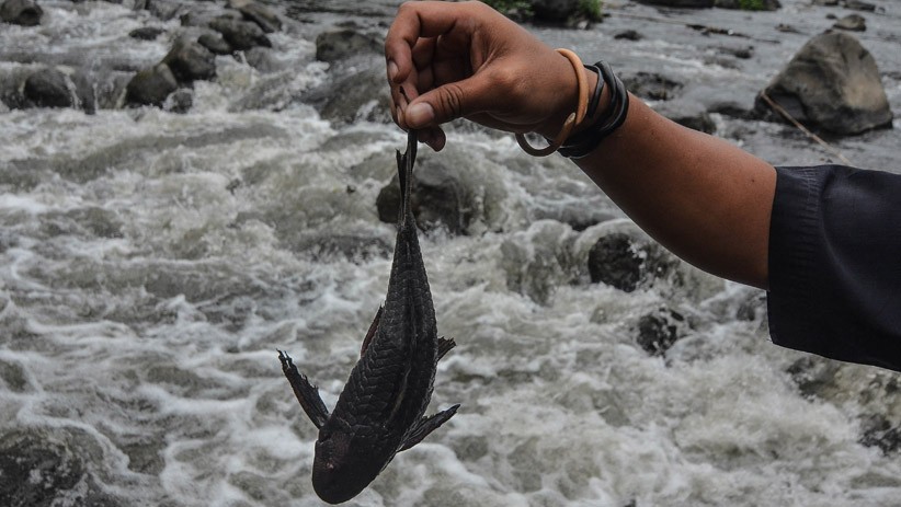 Sungai Ciwulan Tasikmalaya Tercemar Limbah Industri - Bagian 1