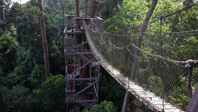 Intip Penginapan Kawasan Wisata Hutan Hujan Tropis Kutai Kartanegara - Bagian 4