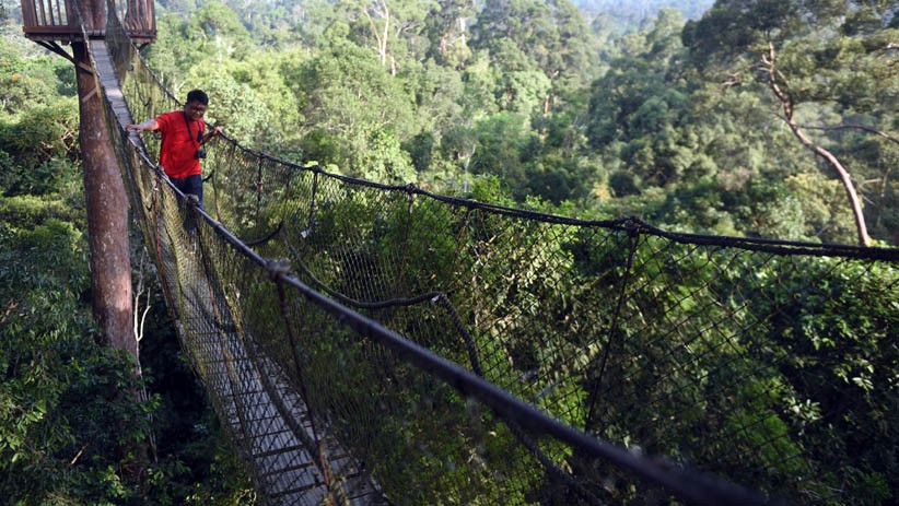Intip Penginapan Kawasan Wisata Hutan Hujan Tropis Kutai Kartanegara - Bagian 3