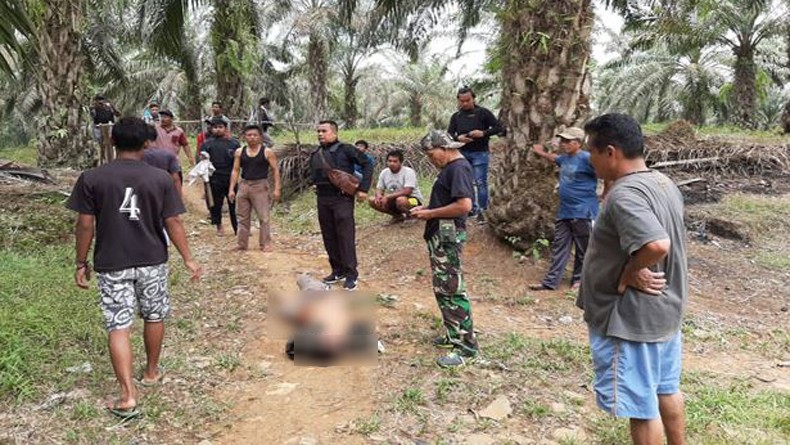 Setubuhi Anak Kandung hingga Hamil, Ayah Bejat Tewas Ditembak Polisi di Bungo