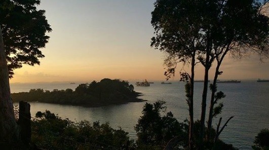 Terpikat Keindahan Pantai Seribu Tangga Batam, Ada Taman Wisata Habibie