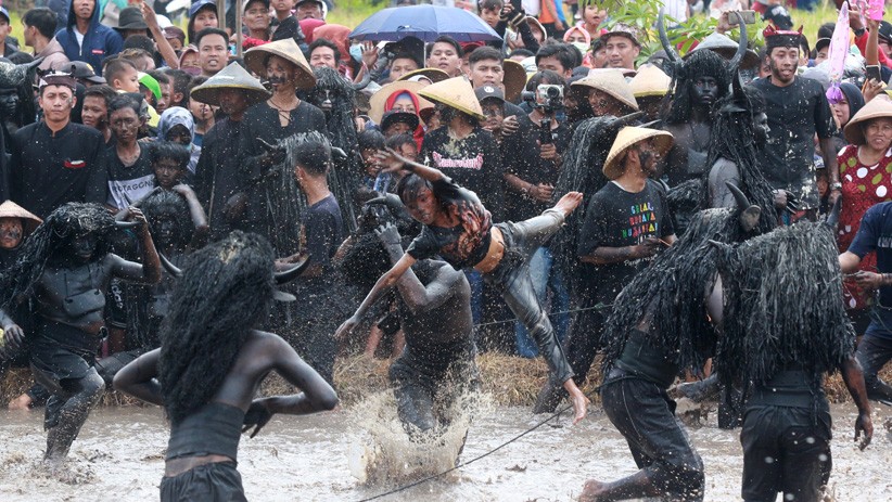 Serunya Kebo-keboan Alasmalang, Tradisi Ratusan Tahun Warga Banyuwangi - Bagian 2