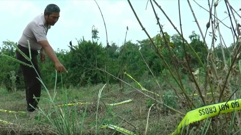 Geger Penemuan Kerangka Manusia di Kebun Milik Anggota DPRD Provinsi Sumsel