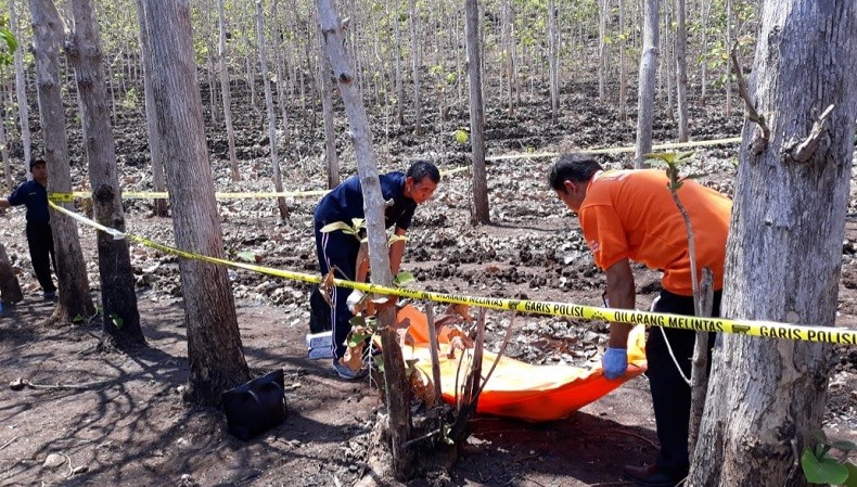 Kerangka Tanpa Identitas Ditemukan di Hutan Jati Gunung Kidul, Diduga Berjenis Kelamin Perempuan