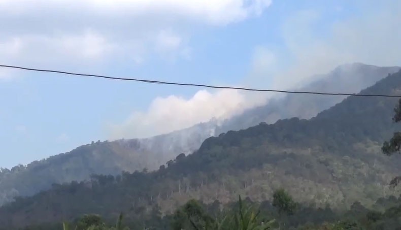 70 Hektare Hutan Gunung Malabar di Bandung Terbakar, Pemadaman Terkendala Medan Terjal