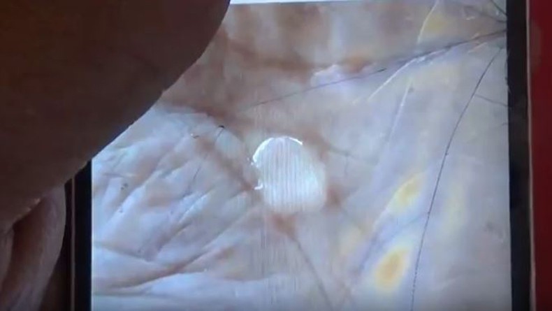 Viral Hujan Es di Lereng Argopuro, BPBD Probolinggo Imbau Warga Tidak Panik