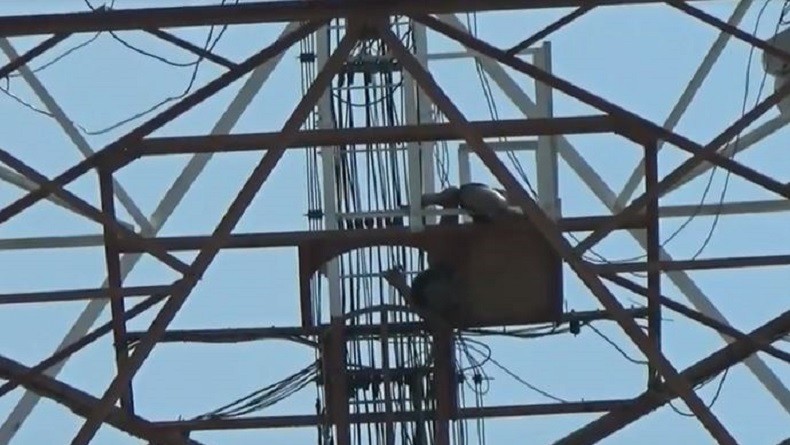 Bertengkar dengan Pacar, Pemuda di Semarang Nekat Panjat Tower 25 Meter