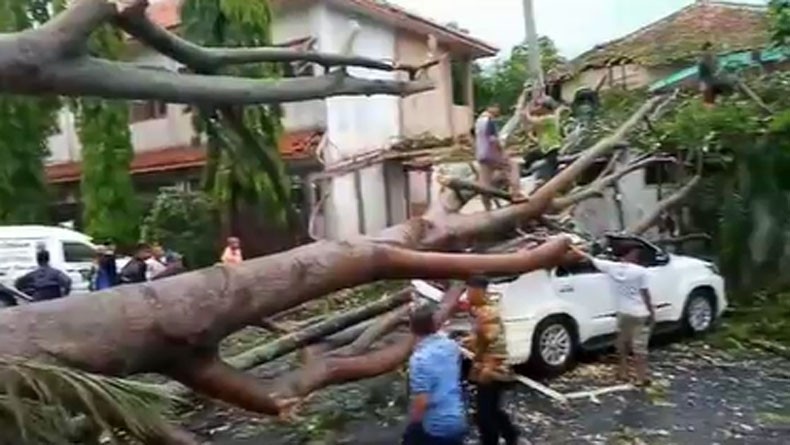 title Hujan Deras Disertai Angin Kencang Terjang Cianjur, 4 Kendaraan Rusak Tertimpa Pohon Tumbang Hujan Deras Disertai Angin Kencang Terjang Cianjur, 4 Kendaraan Rusak Tertimpa Pohon Tumbang