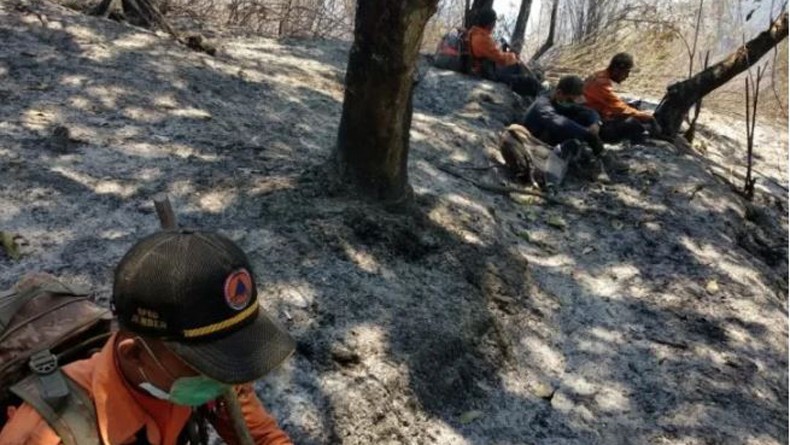 6 Petugas Terjebak Asap Karhutla saat Pemadaman di Gunung Argopura, 4 Dehidrasi Berat