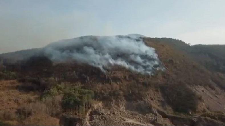 Kebakaran Hutan di Gunung Tampomas, Diperkirakan 40 Hektare Lahan Hangus