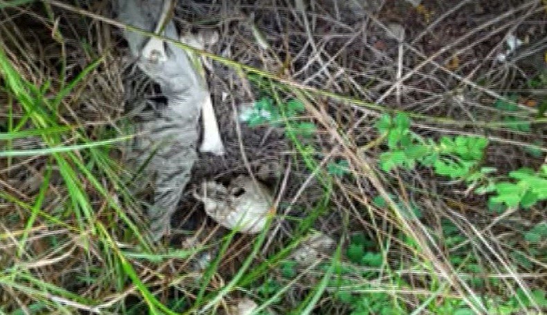 Hilang 5 Bulan, Remaja Putri di Karimun Kepri Ditemukan Sudah Jadi Kerangka