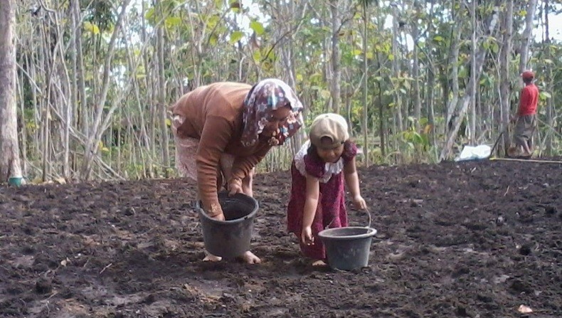 Tradisi Ngawu-Awu, Cara Petani di Gunungkidul Sambut Musim Penghujan