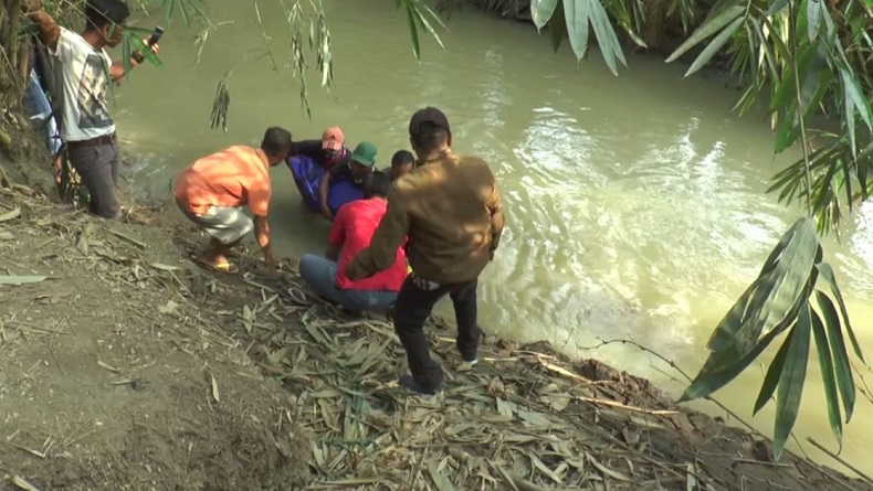 Sadis, 2 Agen Sapi di Lampung Tengah Dibunuh Pembeli dengan Cara Diracuni dan Dianiaya