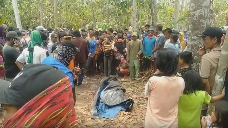 Mayat Kedua Agen Sapi yang Diracun dan Dibunuh Ditemukan Terkubur dalam Lumpur