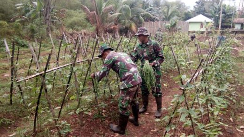 Prajurit TNI di Perbatasan RI-PNG Manfaatkan Lahan Kosong untuk Bercocok Tanam